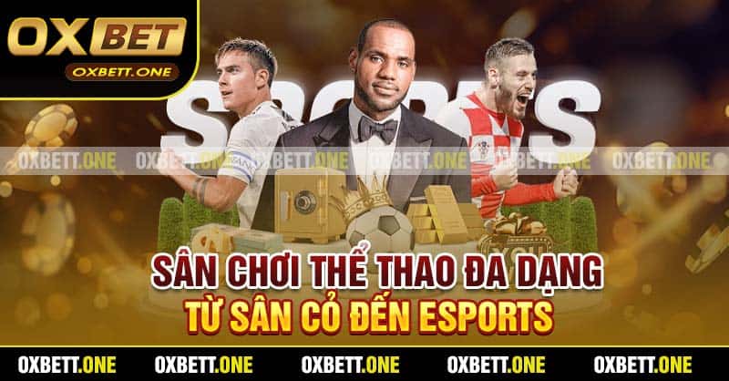Sân chơi thể thao đa dạng từ sân cỏ đến eSports