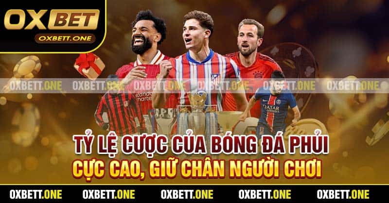 Tỷ lệ cược của bóng đá phủi cực cao, giữ chân người chơi